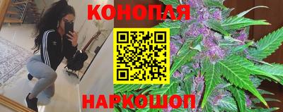 шишки Гусиноозёрск