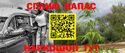 хмурый Гусь-Хрустальный