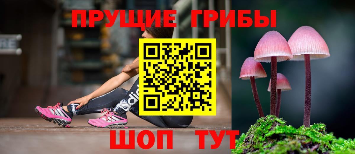 Псилоцибиновые грибы мицелий  Вход с VPN  Мичуринск  Псилоцибиновые грибы Psilocybine cubensis 